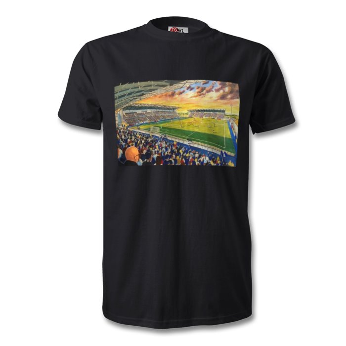 Falkirk supporters inside stadium T-Shirt
