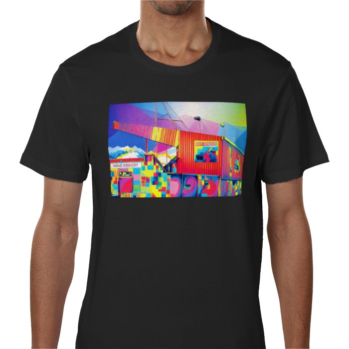 Men's  Stenhousemuir stadium print t-shirt